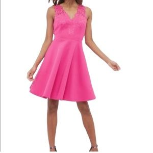 NWOT Ted Baker Dress London Dress Taliia Embroidered Skater Dress
